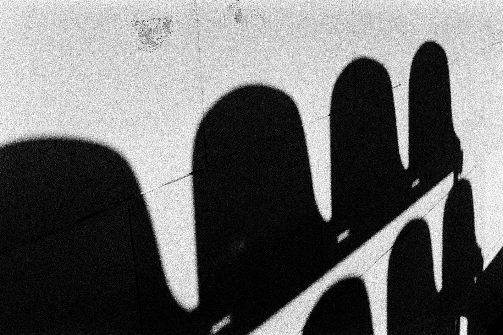 Фотограф Дмитрий Новожилов. Геометрия Олимпиады. Конноспортивный комплекс «Битца» «Широкое представительство спортсменов зарубежных стран всех континентов, выдающиеся спортивные достижения, плодотворная работа состоявшихся в эти же дни в Москве сессии МОК и 18 конгрессов международных спортивных федераций, огромный международный резонанс — все это явилось сокрушительным ударом по апологетам холодной войны, пытавшимся бойкотировать игры XXII Олимпиады».